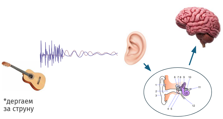 Изображение выглядит как Мозг
Содержимое, созданное искусственным интеллектом, может быть неверным.